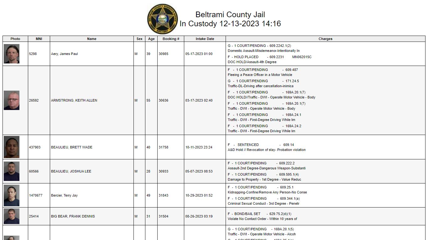 Custody - Beltrami County, Minnesota